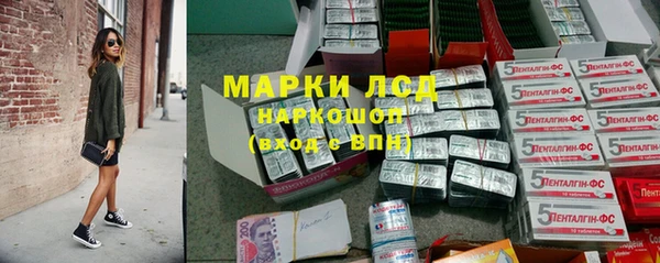 спайс Алзамай