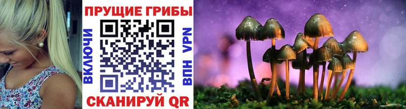 Галлюциногенные грибы Magic Shrooms  kraken как зайти  Ахтубинск 