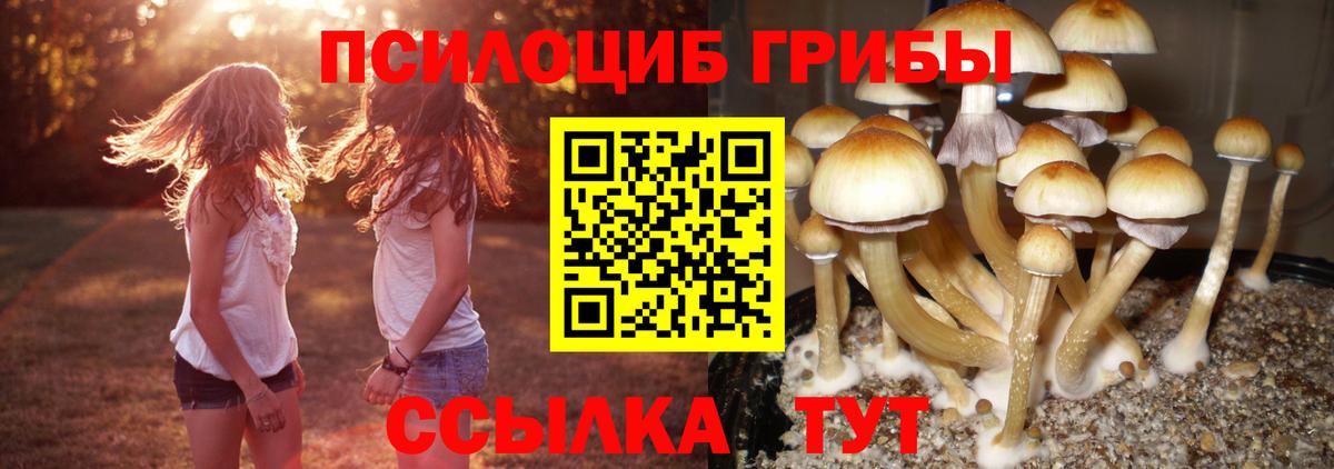 Псилоцибиновые грибы мухоморы  наркотики  Ахтубинск  Вход с VPN  Галлюциногенные грибы Cubensis 